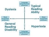 simple view of reading definition