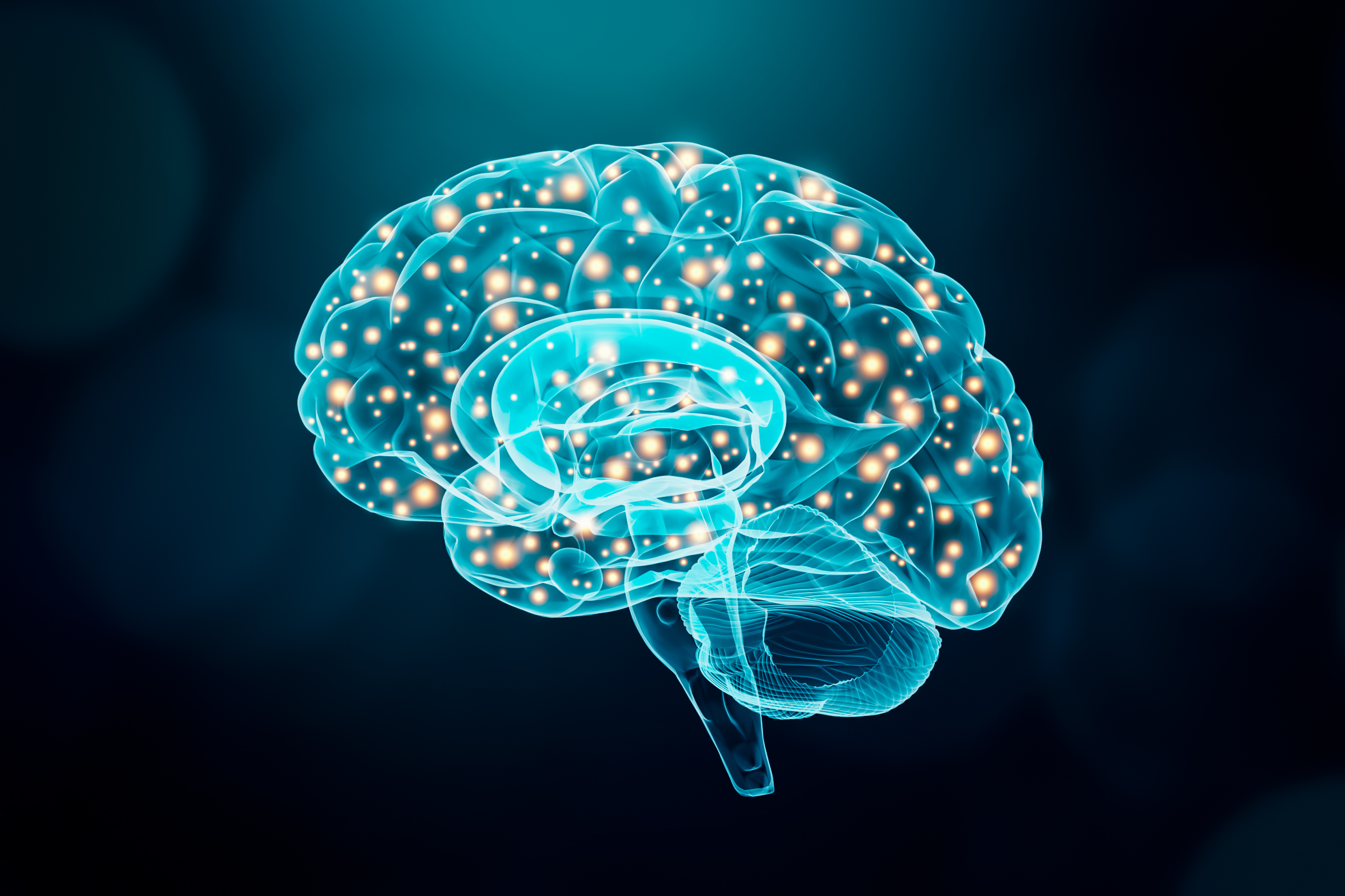 brain