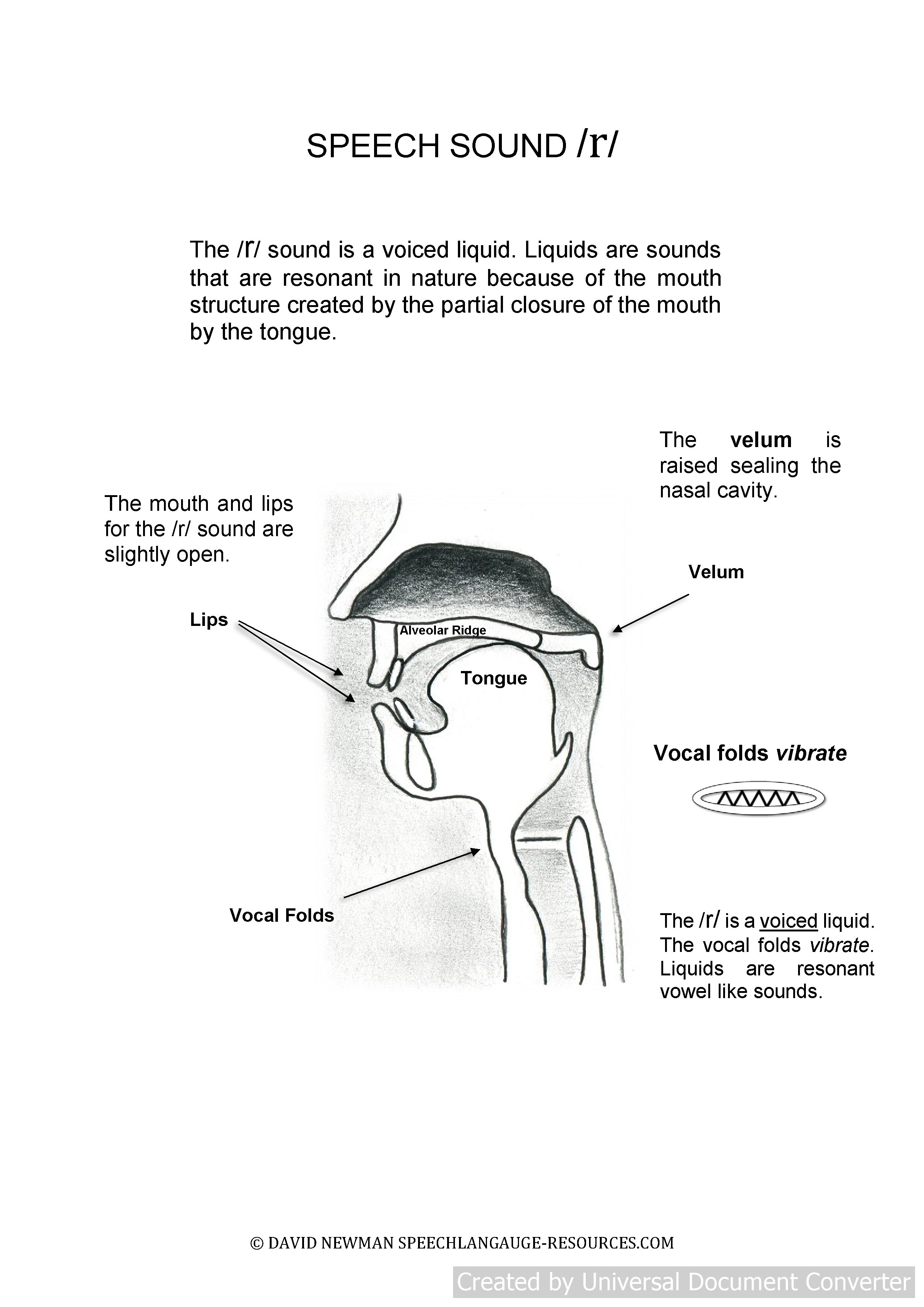 Speech Therapy r Sound