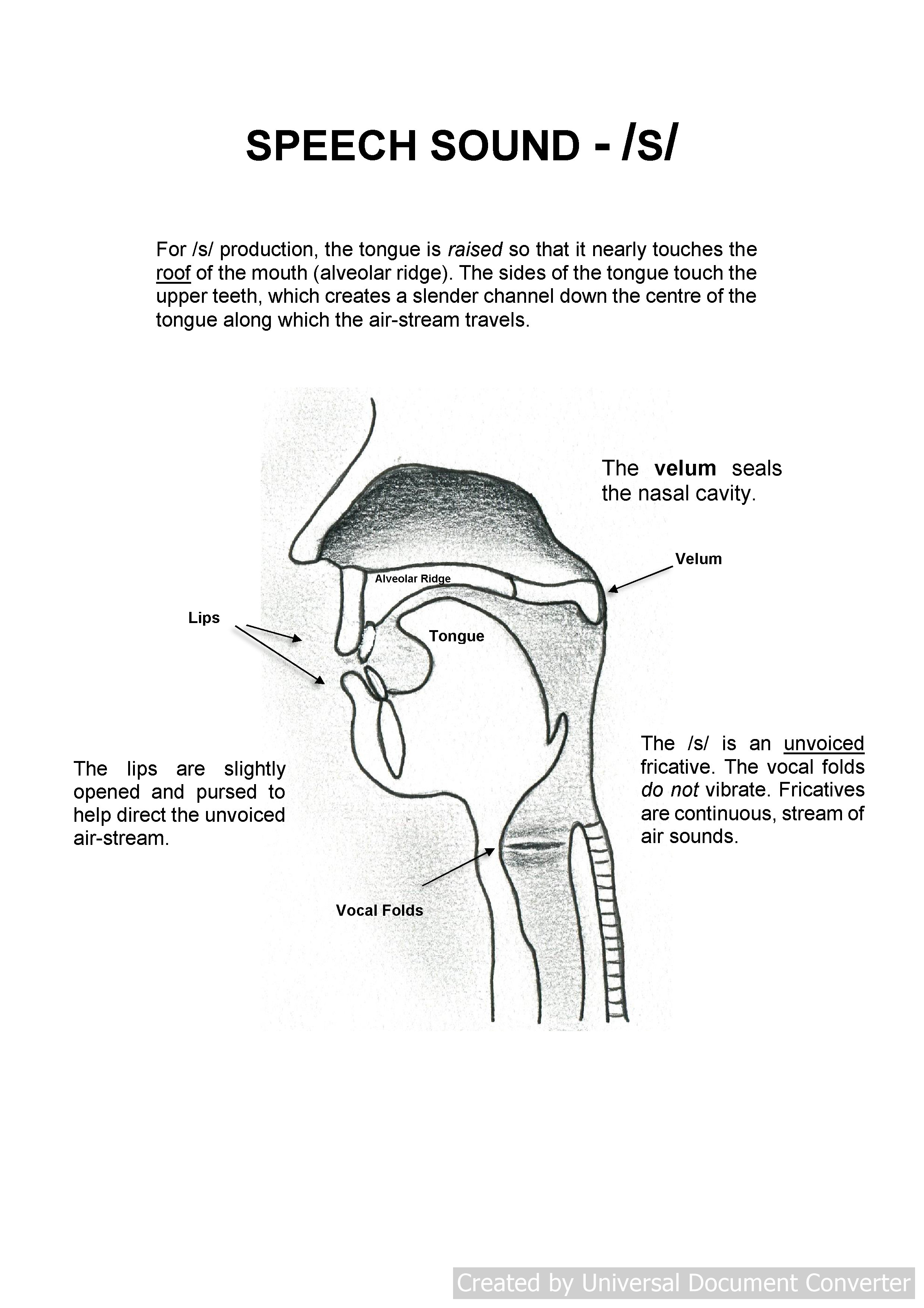 Speech Therapy S Sound