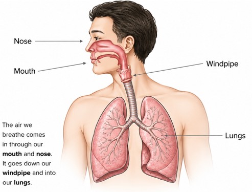 whatisspeech2